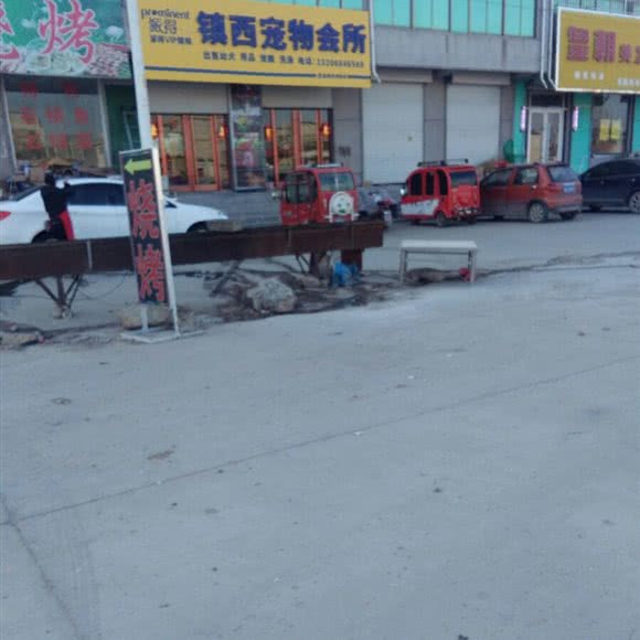 派得镇西宠物会所:临沂市兰陵县