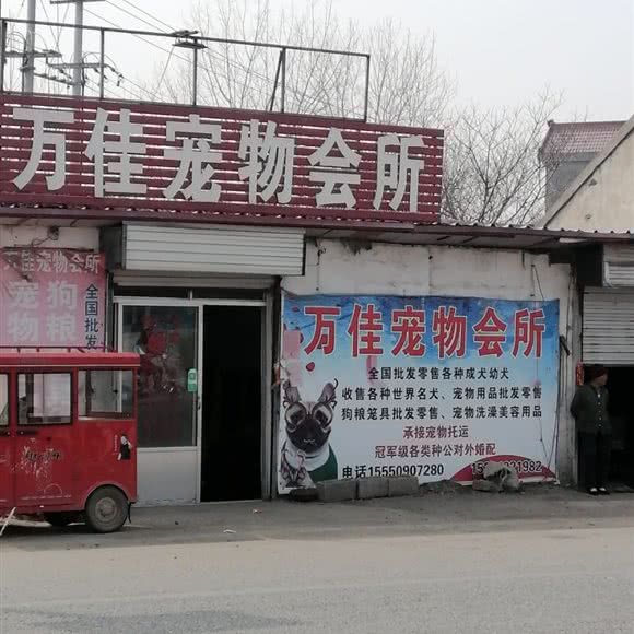 万佳宠物会所:临沂市兰陵县