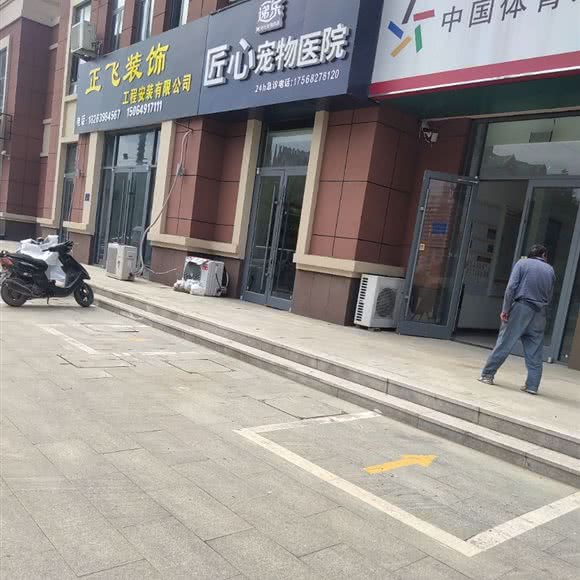 递乐匠心宠物医院:临沂市兰陵县