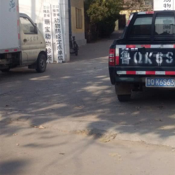 山东省兰陵县萌宝动物诊所:临沂市兰陵县