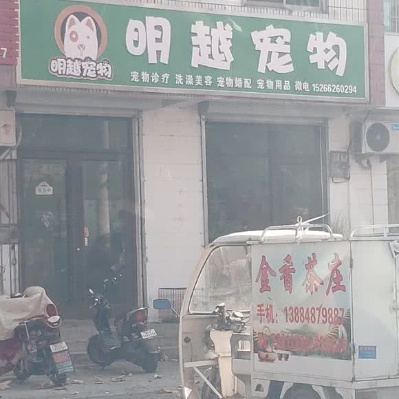 明越宠物:临沂市平邑县