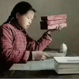 金帝宠物馆:临沂市莒南县