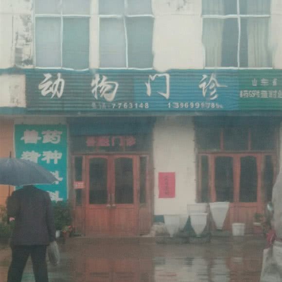 动物门诊:临沂市莒南县