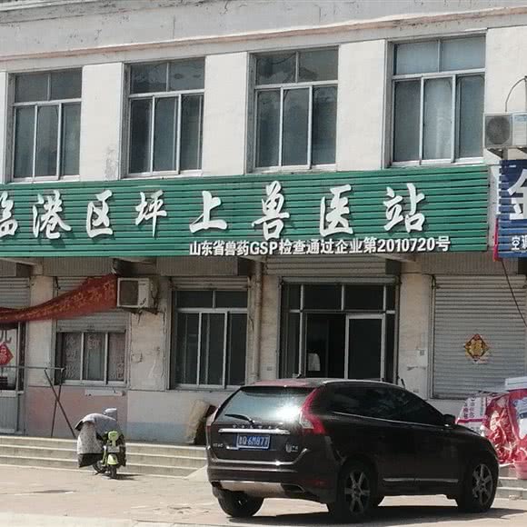 临港区坪上兽医站:临沂市莒南县