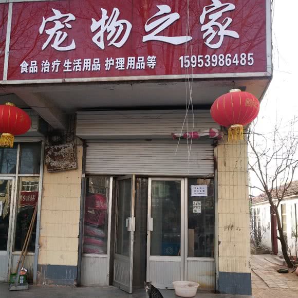 宠物之家(苍山北路店):临沂市临沭县