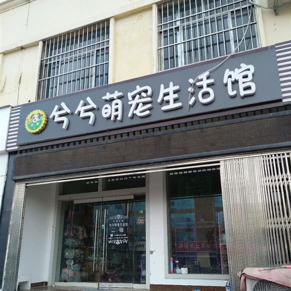 兮兮萌宠生活馆:临沂市临沭县