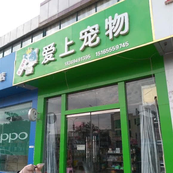 爱上宠物:临沂市临沭县