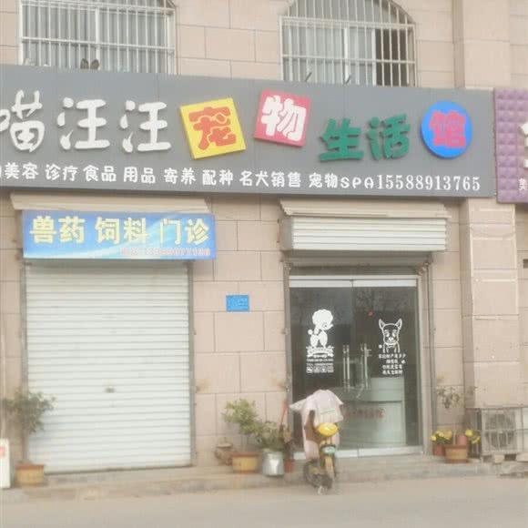 喵汪汪宠物生活馆:临沂市临沭县