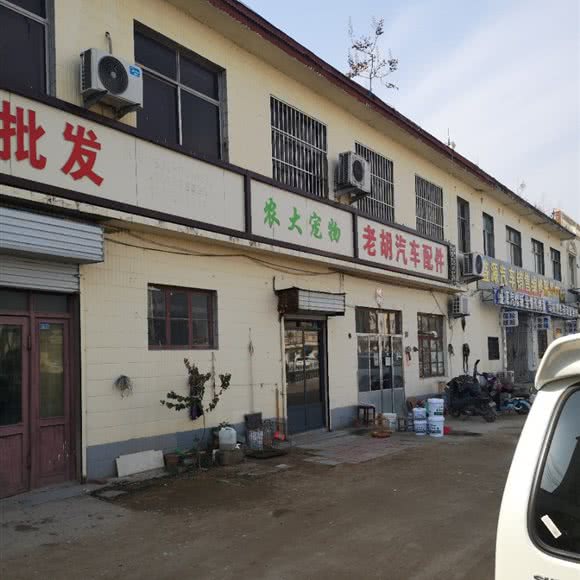 农大宠物:临沂市临沭县