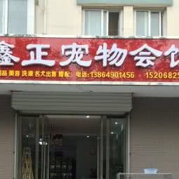 鑫正宠物会馆:临沂市临沭县