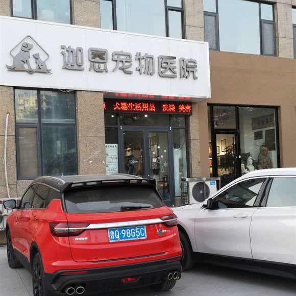 迦恩宠物医院:临沂市临沭县