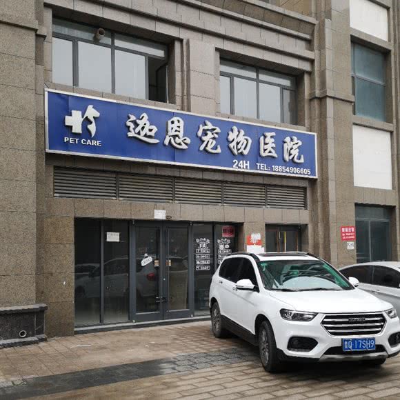 迦恩宠物医院:临沂市临沭县