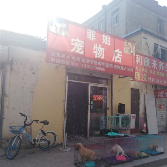 菲姐宠物店:德州市德城区