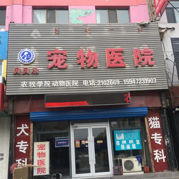 贝贝康宠物医院(鞍山道店):包头市昆都仑区昆区华联附近