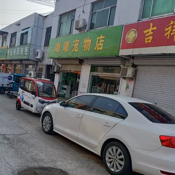 嘟嘟宠物店:德州市宁津县