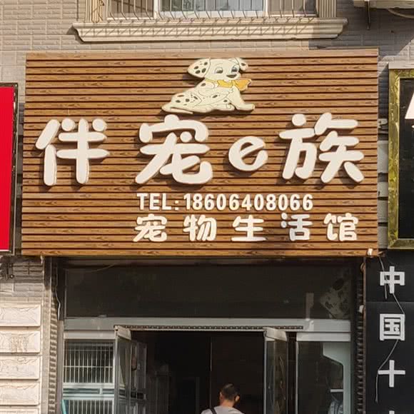伴宠e族宠物生活馆:德州市齐河县