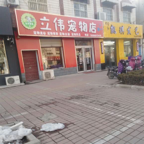 立伟宠物店:德州市平原县