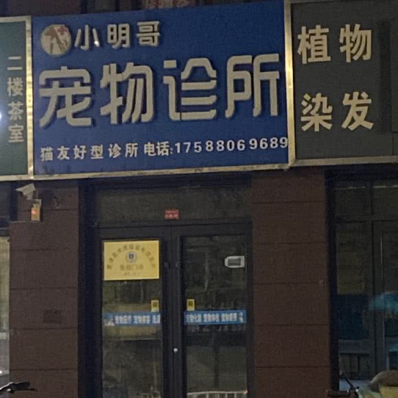 小明哥宠物诊所:德州市夏津县