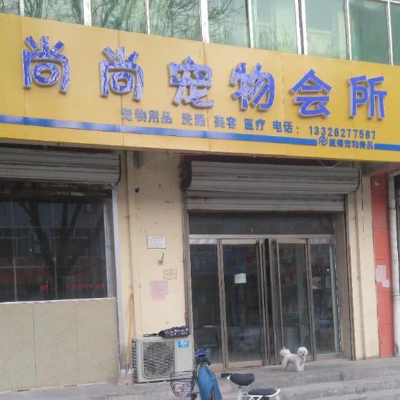 尚尚宠物会所:德州市武城县