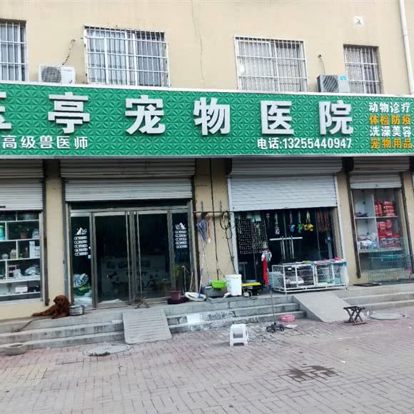 玉亭宠物医院:德州市武城县