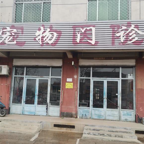 宠物门诊:德州市武城县