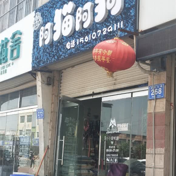 小小宠物店:德州市乐陵市