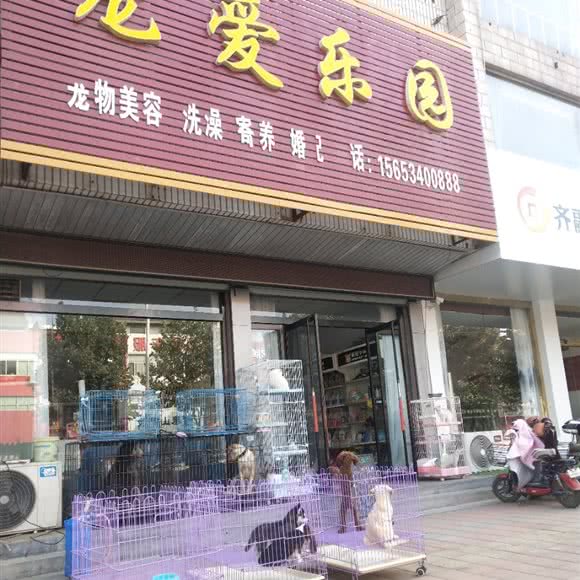 宠爱乐园:德州市禹城市