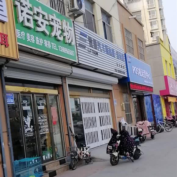 诺安宠物:聊城市东昌府区