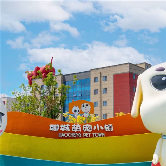 聊城萌宠小镇:聊城市东昌府区