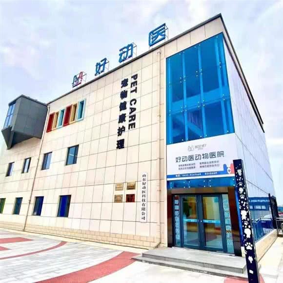 山东好动医动物医院:聊城市东昌府区