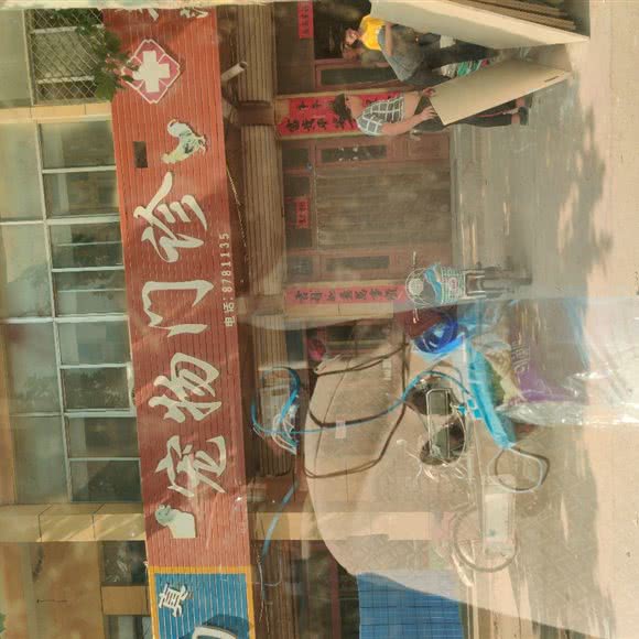 宠物门诊:聊城市东昌府区