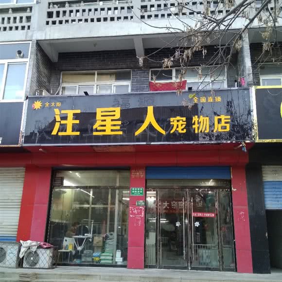 汪星人宠物店:聊城市阳谷县
