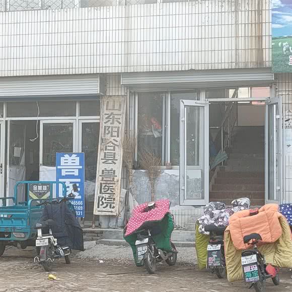 山东阳谷县兽医院:聊城市阳谷县
