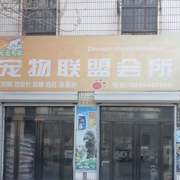 宠爱有家宠物联盟会所:聊城市莘县