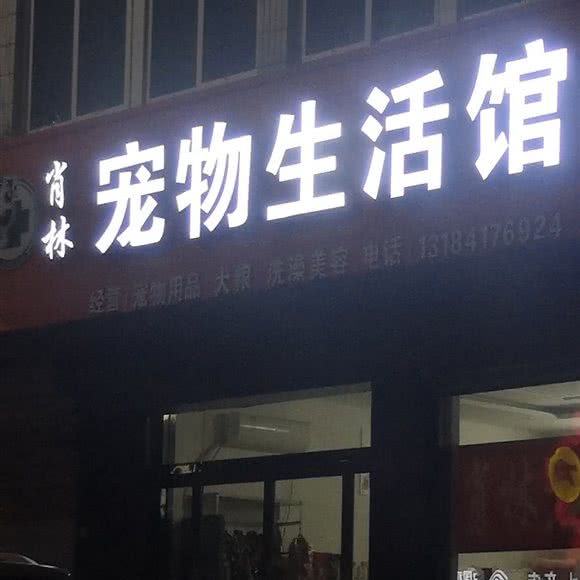 肖林宠物生活馆:聊城市临清市