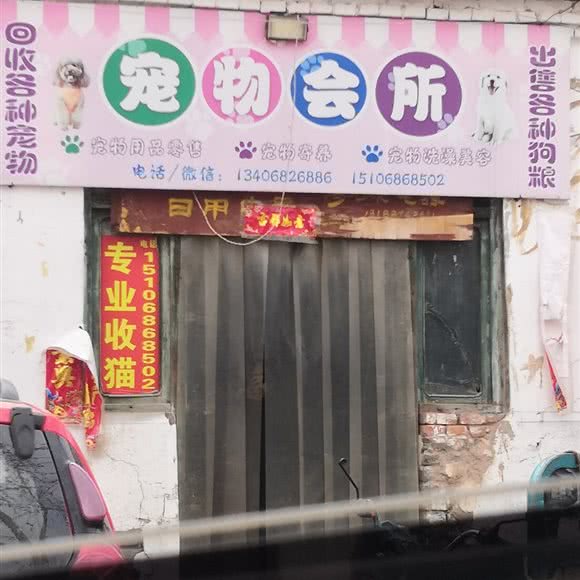 宠物会所:聊城市临清市