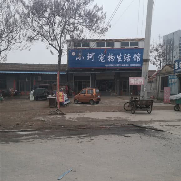 小珂宠物生活馆:聊城市临清市