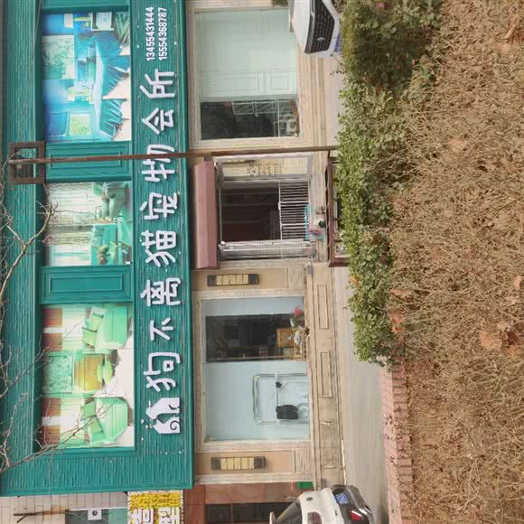 狗不离猫宠物会所:滨州市滨城区