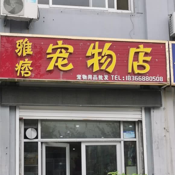 雅痞宠物店:滨州市滨城区