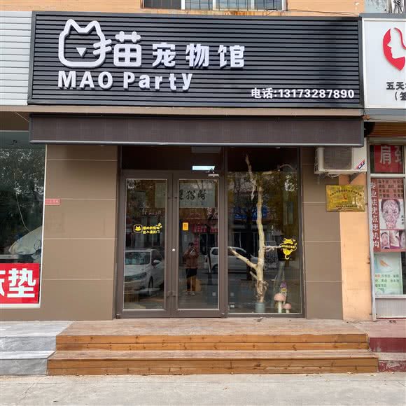 猫party猫咖宠物馆:滨州市滨城区