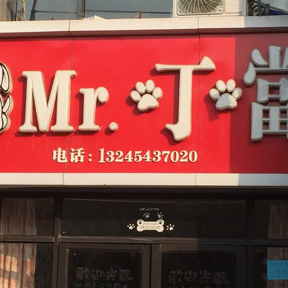 Mr丁当:滨州市滨城区