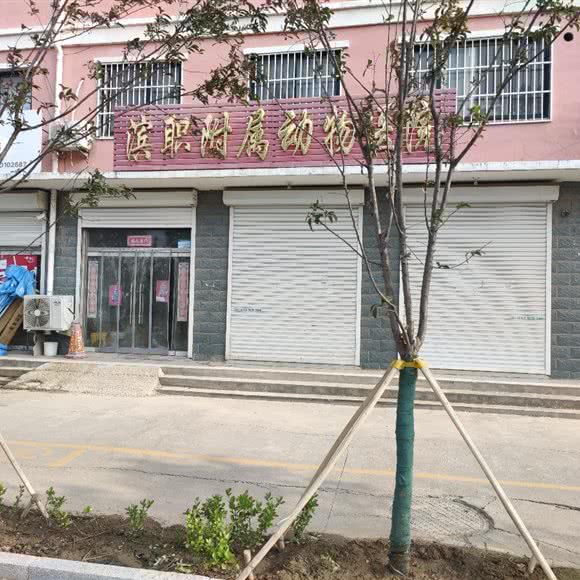滨职附属动物医院:滨州市滨城区
