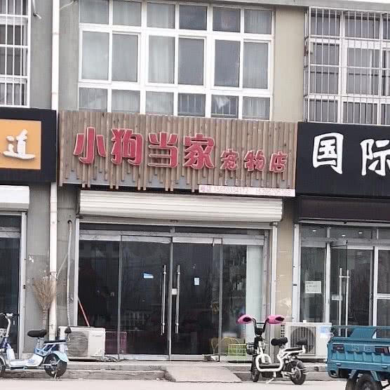 小狗当家宠物店:滨州市沾化区