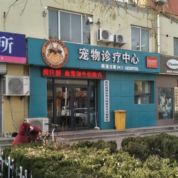 邦尼斯特宠物诊疗中心:滨州市惠民县