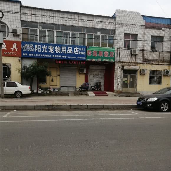 阳光宠物用品:滨州市阳信县