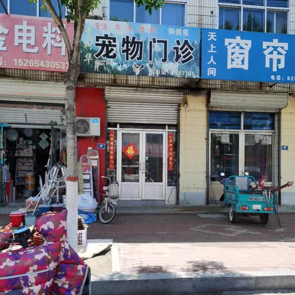 张金村曹树华兽医门诊:滨州市阳信县