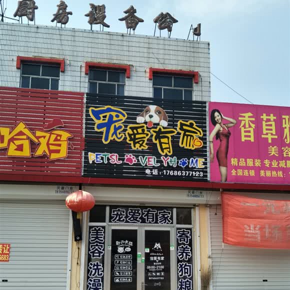 宠爱有家:滨州市博兴县