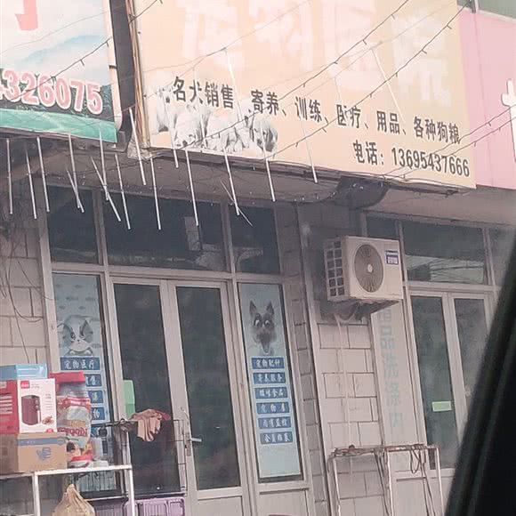 宠物医院:滨州市博兴县
