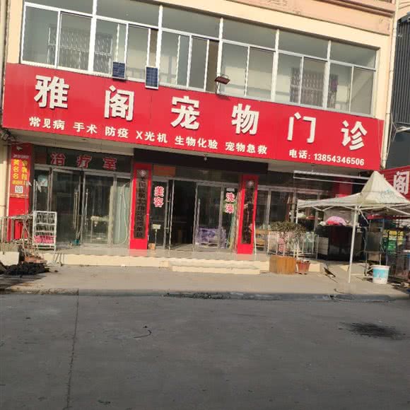 雅阁宠物门诊:滨州市博兴县