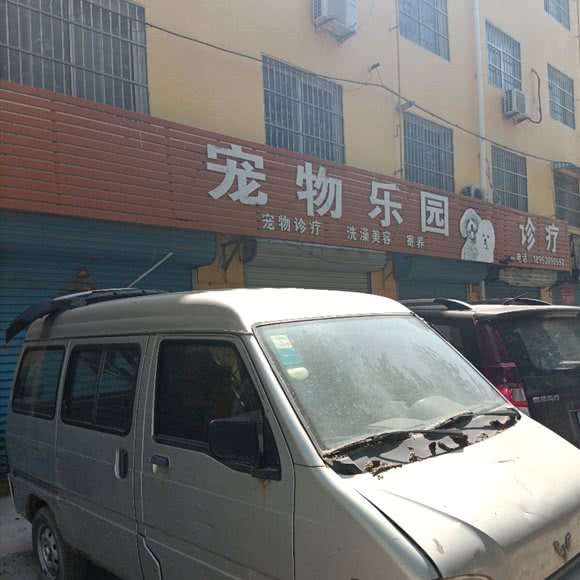 宠物乐园:菏泽市牡丹区